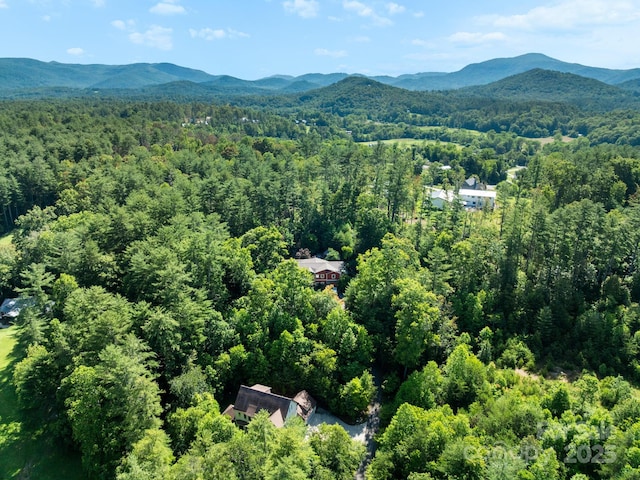 102 Gap Creek Rd, Fletcher, NC 28732 - bird's eye view of a heavily wooded area and a mountainous background