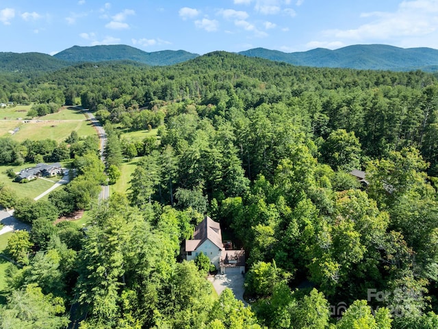102 Gap Creek Rd, Fletcher, NC 28732 - bird's eye view of a forest and a mountain backdrop