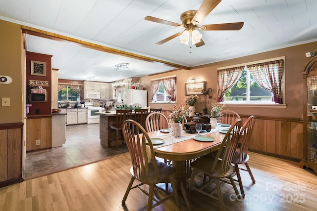 1104 Pump Station Rd, Kannapolis, NC 28081 - dining space with ceiling fan, light wood-style floors, wainscoting, crown molding, and wooden walls