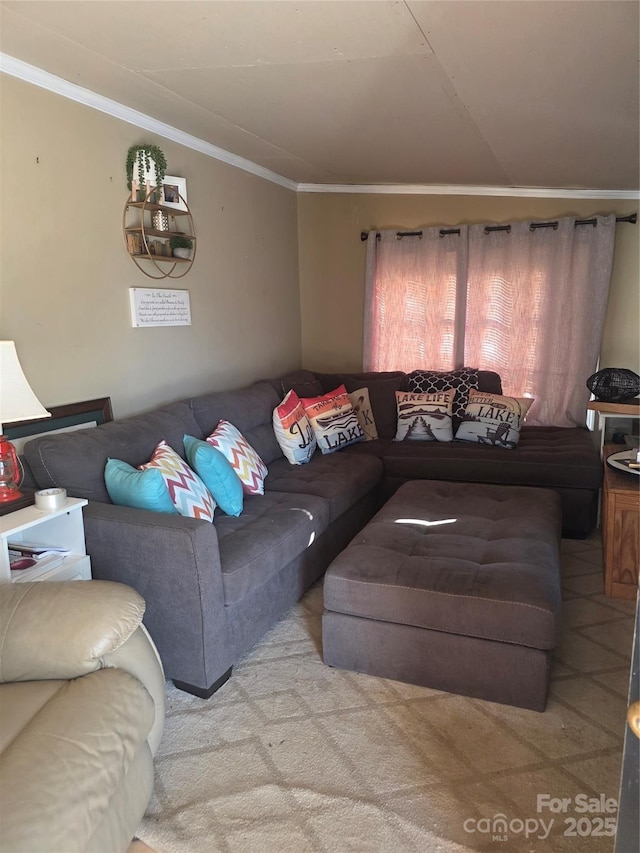 690 Lake Head Rd Unit 132, Norwood, NC 28128 - carpeted living area with ornamental molding