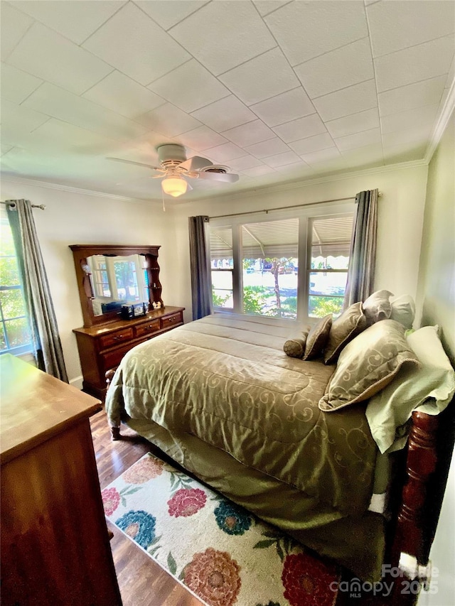 3702 Crawford St, Gastonia, NC 28052 - bedroom with multiple windows, crown molding, wood finished floors, and ceiling fan
