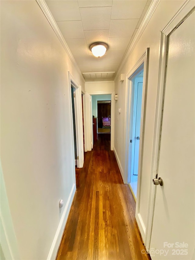3702 Crawford St, Gastonia, NC 28052 - hallway featuring wood finished floors and ornamental molding