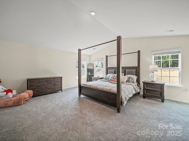404 Saddlebred Ln, Locust, NC 28097 - carpeted bedroom with multiple windows and lofted ceiling