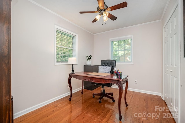 4919 Rehobeth Rd, Waxhaw, NC 28173 - office space featuring light wood-type flooring, plenty of natural light, crown molding, and a ceiling fan