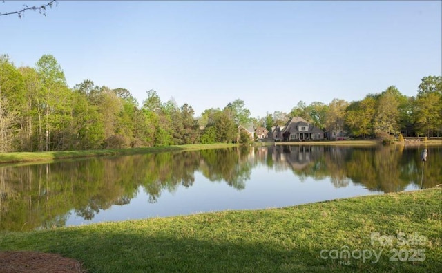 2076 Landry Ln Unit 232, Rock Hill, SC 29732 - water view with a heavily wooded area