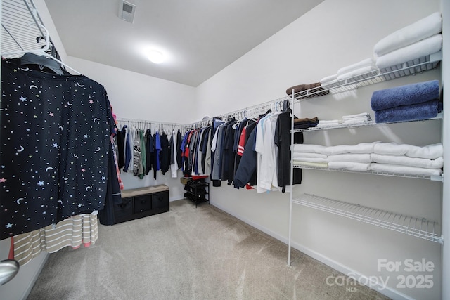 248 Catoctin Rd, Rock Hill, SC 29732 - spacious closet with carpet floors