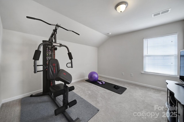 248 Catoctin Rd, Rock Hill, SC 29732 - workout area featuring vaulted ceiling and carpet flooring