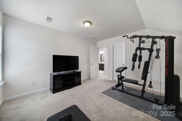 248 Catoctin Rd, Rock Hill, SC 29732 - exercise room with carpet flooring and lofted ceiling
