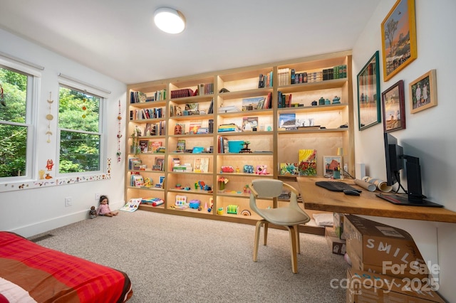 136 Graveyard Rd, Fairview, NC 28730 - carpeted office with baseboards