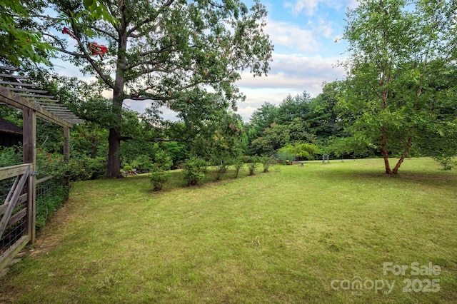 136 Graveyard Rd, Fairview, NC 28730 - view of green lawn