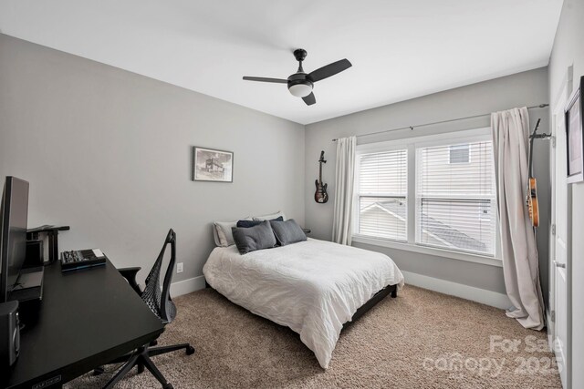 3076 Amaranth Dr, Fort Mill, SC 29708 - photo 24