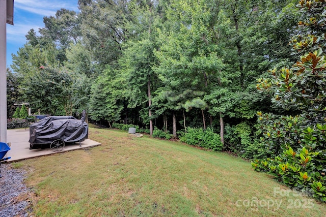3076 Amaranth Dr, Fort Mill, SC 29708 - photo 28