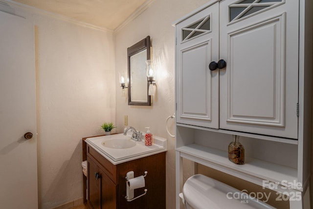 2420 Timberland Hills Dr, Newton, NC 28658 - bathroom with vanity and ornamental molding