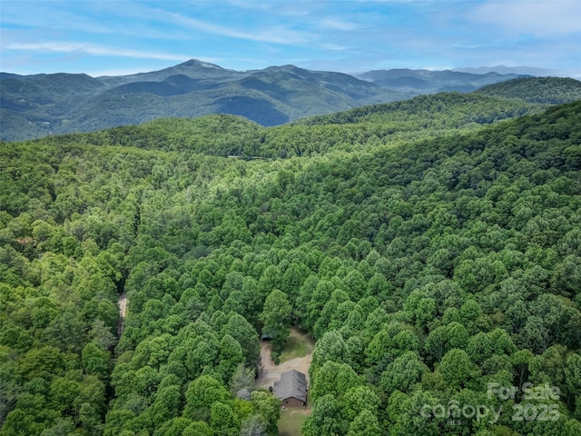 186 Sloshy Branch Trl, Black Mountain, NC 28711 - photo 2