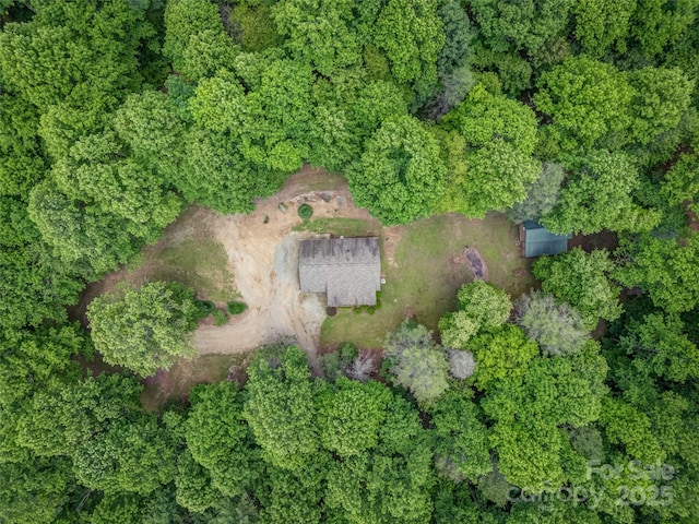 186 Sloshy Branch Trl, Black Mountain, NC 28711 - photo 3