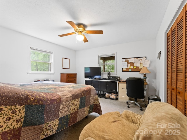 186 Sloshy Branch Trl, Black Mountain, NC 28711 - photo 18