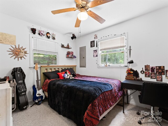 186 Sloshy Branch Trl, Black Mountain, NC 28711 - photo 21