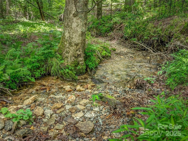 186 Sloshy Branch Trl, Black Mountain, NC 28711 - photo 28