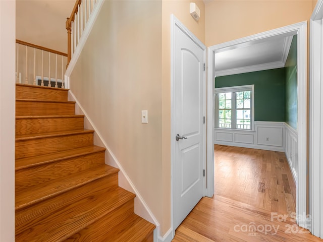 19 Driftstone Cir, Arden, NC 28704 - stairs featuring wood finished floors, crown molding, wainscoting, and a decorative wall