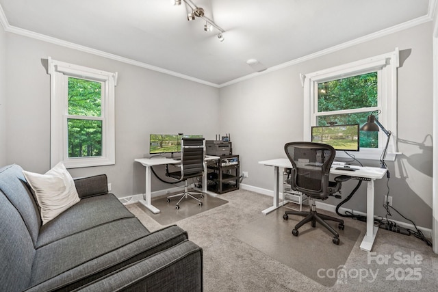 4432 Bob White Ct, Charlotte, NC 28213 - photo 24