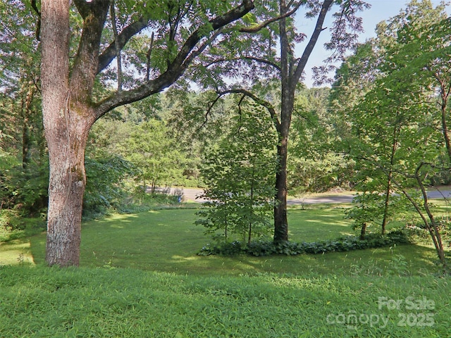 32 Saunooke Rd, Asheville, NC 28805 - view of grassy yard