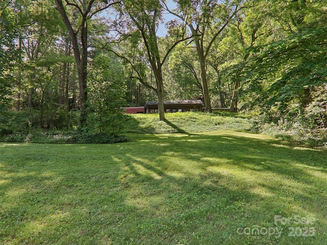 32 Saunooke Rd, Asheville, NC 28805 - view of green lawn