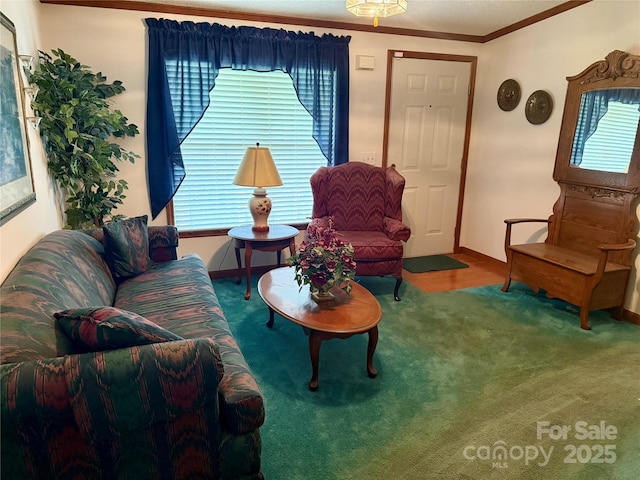 5816 Scotland Yard Rd, Rock Hill, SC 29732 - living area featuring plenty of natural light, carpet, and crown molding
