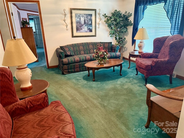 5816 Scotland Yard Rd, Rock Hill, SC 29732 - living room with carpet flooring and healthy amount of natural light