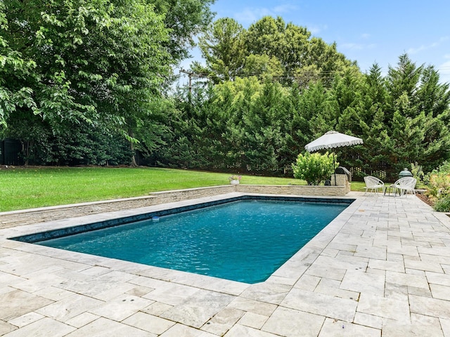 3001 Colony Rd, Charlotte, NC 28211 - swimming pool with a patio and a yard