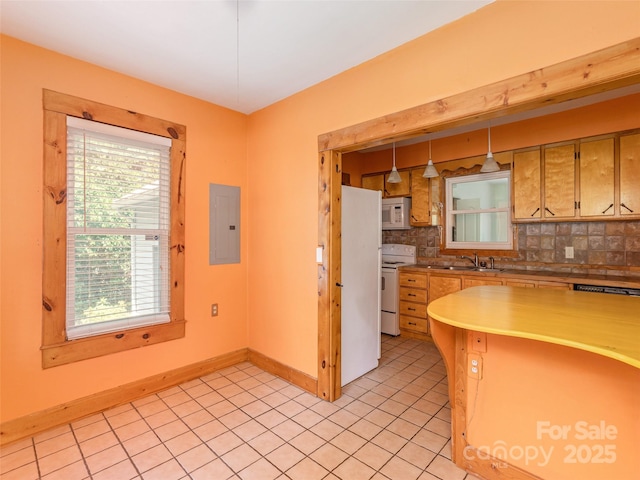 304 Old Haw Creek Rd, Asheville, NC 28805 - photo 10