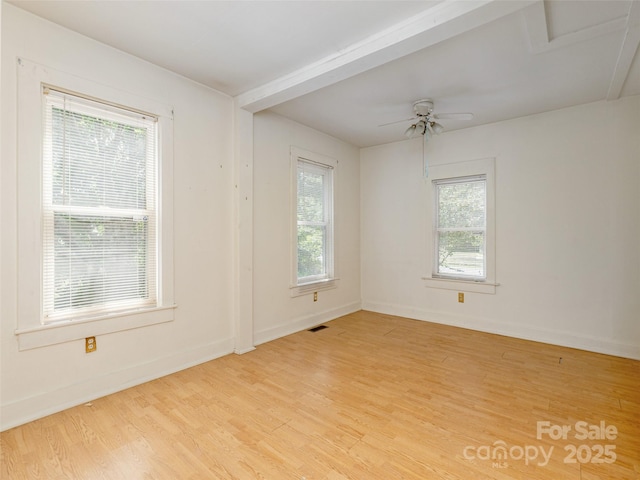 304 Old Haw Creek Rd, Asheville, NC 28805 - photo 14