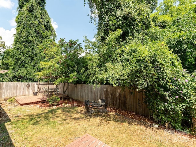 304 Old Haw Creek Rd, Asheville, NC 28805 - photo 19