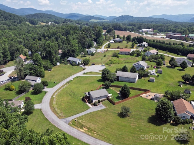 94 May Apple Dr, Hendersonville, NC 28792 - photo 37