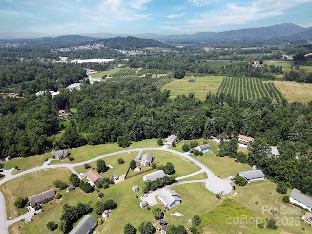 94 May Apple Dr, Hendersonville, NC 28792 - photo 44