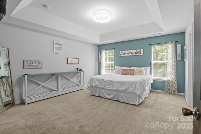 4205 Springhaven Dr, Charlotte, NC 28269 - photo 21
