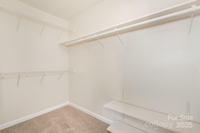 1432 Matthew Allen Cir, Kannapolis, NC 28081 - spacious closet featuring carpet floors