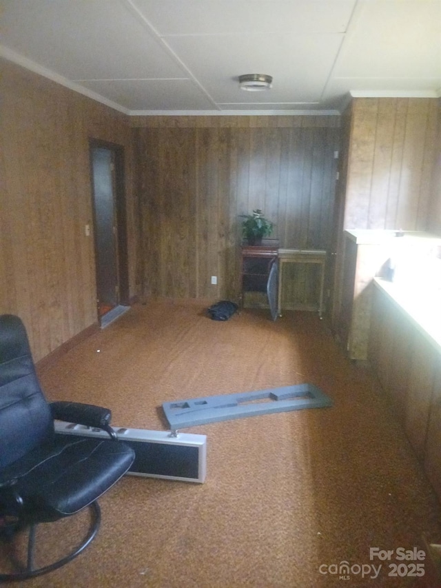 2815 Highland Dr, Lincolnton, NC 28092 - miscellaneous room featuring carpet flooring and wooden walls