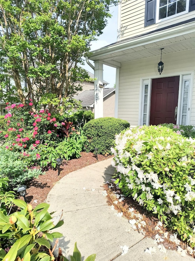 10825 Traders Ct, Davidson, NC 28036 - property entrance