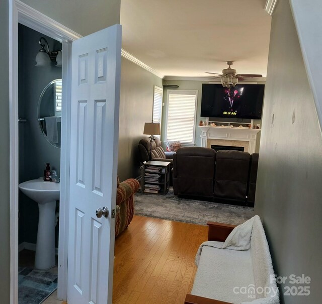 10825 Traders Ct, Davidson, NC 28036 - living area with ceiling fan, hardwood / wood-style flooring, ornamental molding, and a fireplace
