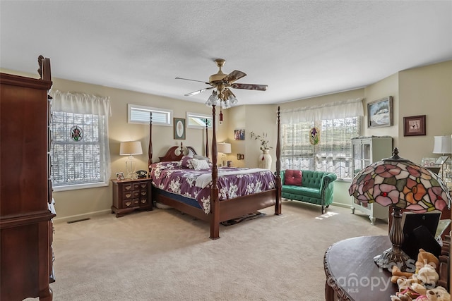 860 Asbury Rd, Candler, NC 28715 - photo 9