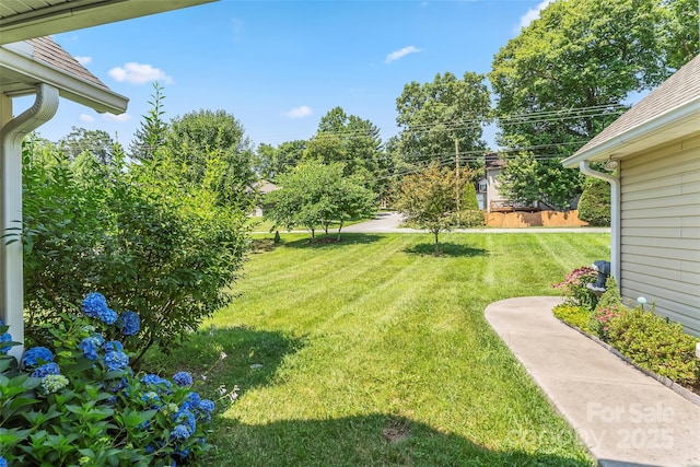 860 Asbury Rd, Candler, NC 28715 - photo 24