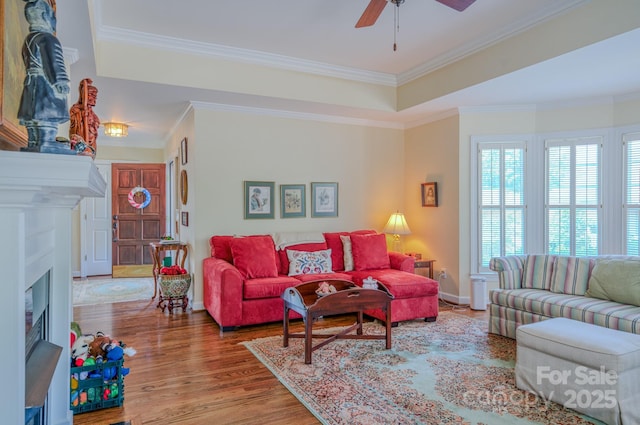 8 Creekside Way, Asheville, NC 28804 - living room featuring wood finished floors, ornamental molding, ceiling fan, and a fireplace