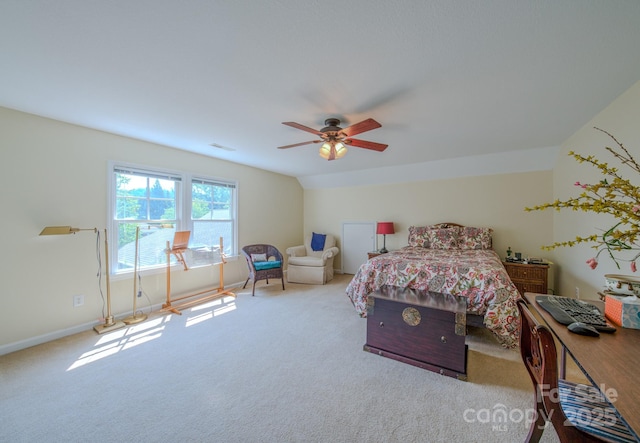 8 Creekside Way, Asheville, NC 28804 - bedroom featuring carpet and a ceiling fan