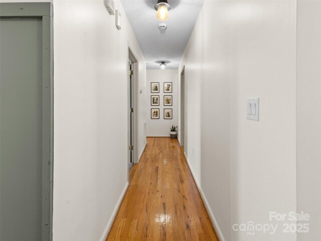 3906 Brickfield St, Hickory, NC 28602 - hallway with light wood finished floors and a textured ceiling