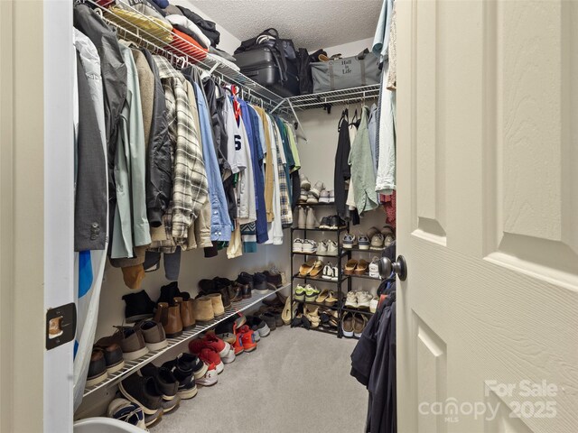 3906 Brickfield St, Hickory, NC 28602 - walk in closet featuring carpet