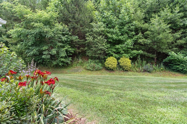 50 Kenai Trl, Waynesville, NC 28786 - photo 25