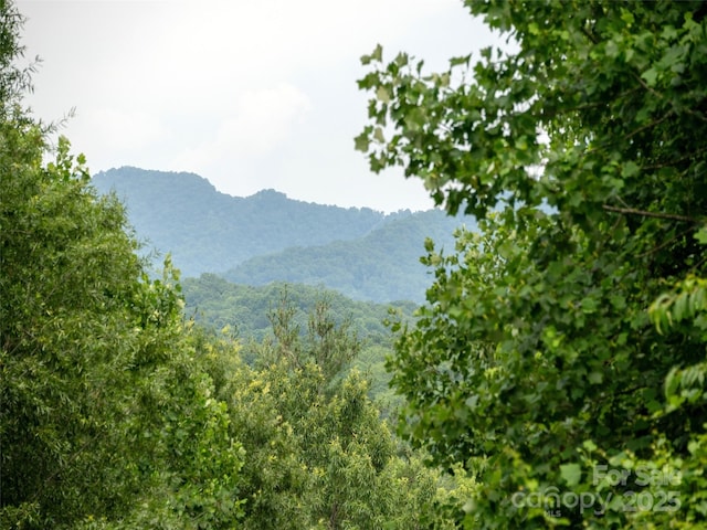 87 Apple Blossom Ln, Waynesville, NC 28786 - photo 6