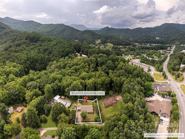 87 Apple Blossom Ln, Waynesville, NC 28786 - photo 38