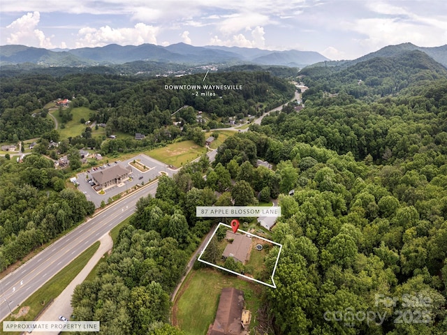 87 Apple Blossom Ln, Waynesville, NC 28786 - photo 39