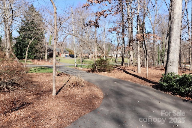 251 Gleneagles Rd E, Statesville, NC 28625 - photo 45